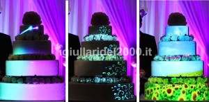 Show delle Luci su Torta (Mapping Cake)