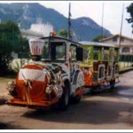 Trenino Diesel da Noleggio