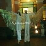 trampolieri bianchi alati