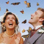 volo farfalle depliant