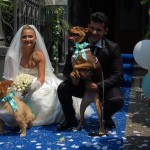 Dogs Sitter per Matrimonio
