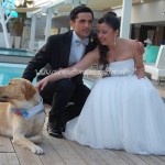 Servizio Dogs Parking per Matrimonio doc
