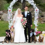 wedding dog