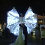 Foto Farfalla Luminosa per Matrimonio