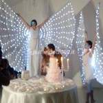 Farfalle Luminose per Taglio Torta Nuziale